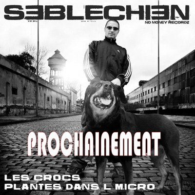 Seb Le Chien - Les Crocs Plantes Dans L'micro (2011)