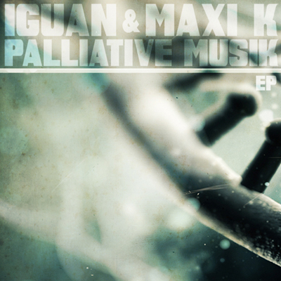 Iguan & Maxi K - Palliative Musik (2012)