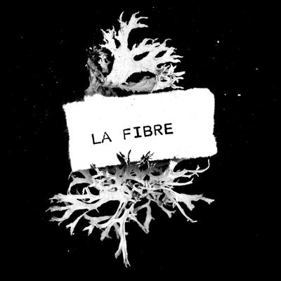 La Fibre - ST (2013)