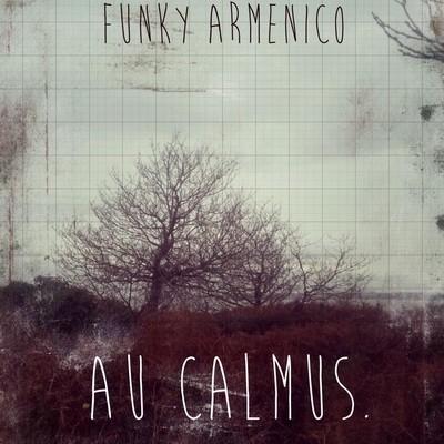 Funky Armenico - Au Calmus (2014)