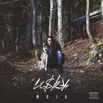 Usky - Mojo (2016)