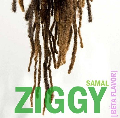 Samal - Ziggy (2017)
