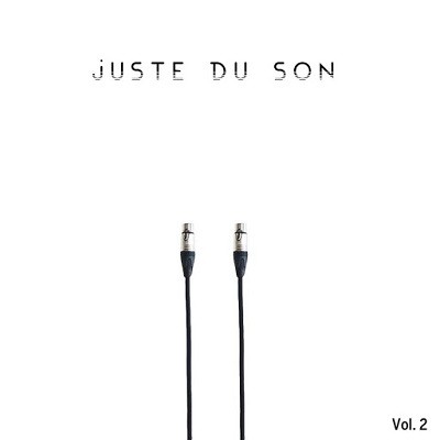 Shanti Vibes - Juste Du Son Vol. 2 (2017)