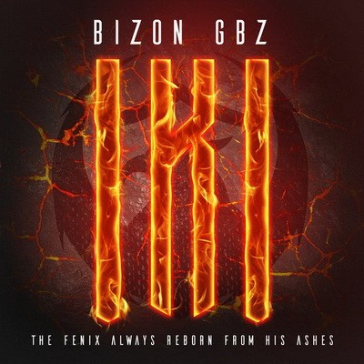 Bizon GBZ - IKI (2017)